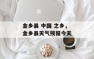 金乡县 中国 之乡，金乡县天气预报今天