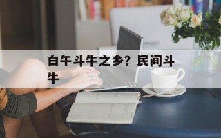 白午斗牛之乡？民间斗牛