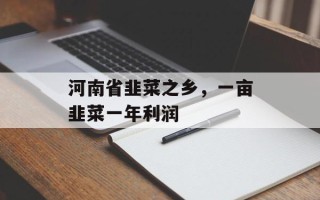 河南省韭菜之乡，一亩韭菜一年利润