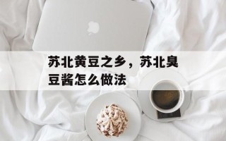 苏北黄豆之乡，苏北臭豆酱怎么做法