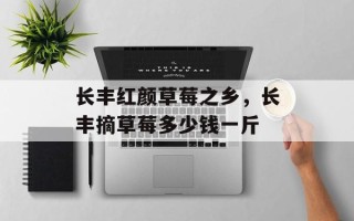 长丰红颜草莓之乡，长丰摘草莓多少钱一斤