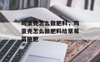 鸡蛋壳怎么做肥料，鸡蛋壳怎么做肥料给草莓苗施肥