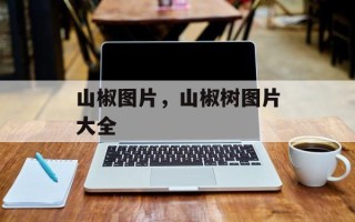 山椒图片，山椒树图片大全