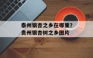 泰州银杏之乡在哪里？贵州银杏树之乡图片