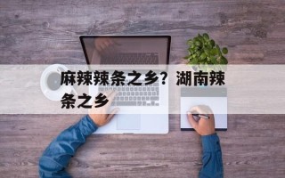 麻辣辣条之乡？湖南辣条之乡