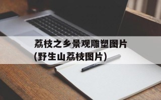 荔枝之乡景观雕塑图片(野生山荔枝图片)