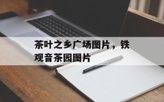 茶叶之乡广场图片，铁观音茶园图片