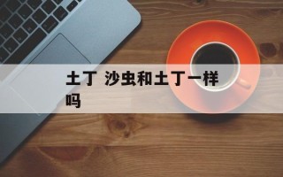 土丁 沙虫和土丁一样吗