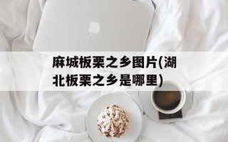 麻城板栗之乡图片(湖北板栗之乡是哪里)