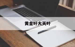 黄金叶大天叶
