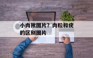 小肉揪图片？肉粒和疣的区别图片