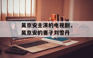 吴京安主演的电视剧，吴京安的妻子刘雪丹