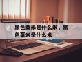 黑色粟米是什么米，黑色粟米是什么米