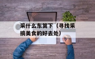 采什么东篱下（寻找采摘美食的好去处）