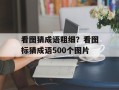 看图猜成语粗细？看图标猜成语500个图片