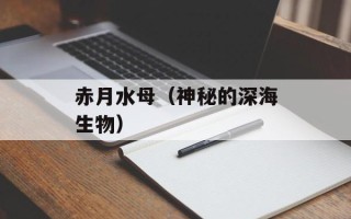 赤月水母（神秘的深海生物）