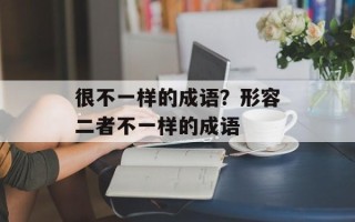 很不一样的成语？形容二者不一样的成语