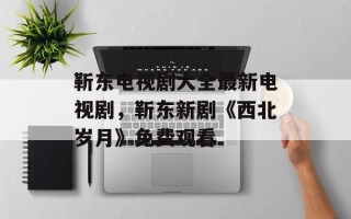 靳东电视剧大全最新电视剧，靳东新剧《西北岁月》免费观看