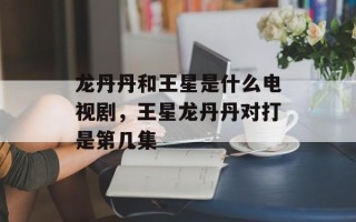 龙丹丹和王星是什么电视剧，王星龙丹丹对打是第几集
