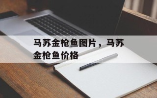 马苏金枪鱼图片，马苏金枪鱼价格