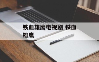 铁血雄鹰电视剧 铁血雄鹰