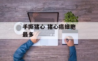 手撕猪心 猪心癌细胞最多