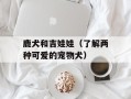 鹿犬和吉娃娃（了解两种可爱的宠物犬）