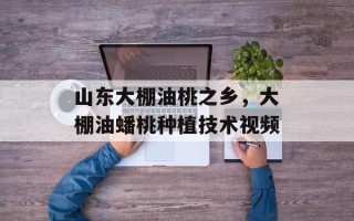 山东大棚油桃之乡，大棚油蟠桃种植技术视频
