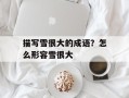 描写雪很大的成语？怎么形容雪很大