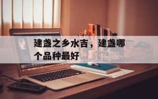 建盏之乡水吉，建盏哪个品种最好