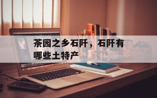 茶园之乡石阡，石阡有哪些土特产