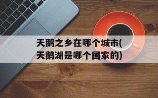 天鹅之乡在哪个城市(天鹅湖是哪个国家的)