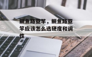 鳜鱼路亚竿，鳜鱼路亚竿应该怎么选硬度和调性