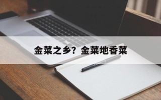 金菜之乡？金菜地香菜