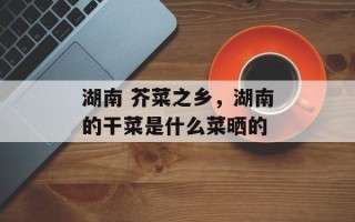 湖南 芥菜之乡，湖南的干菜是什么菜晒的