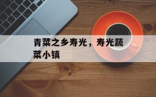 青菜之乡寿光，寿光蔬菜小镇