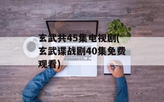 玄武共45集电视剧(玄武谍战剧40集免费观看)