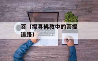 菩（探寻佛教中的菩提道路）