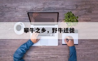 攀牛之乡，野牛迁徙