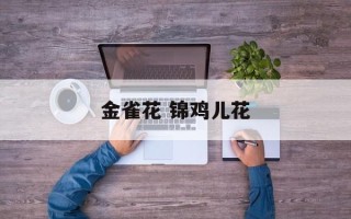金雀花 锦鸡儿花