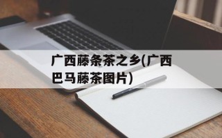 广西藤条茶之乡(广西巴马藤茶图片)