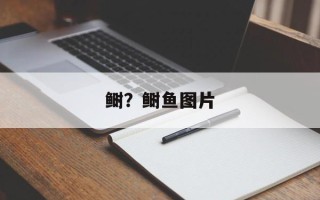 鲥？鲥鱼图片