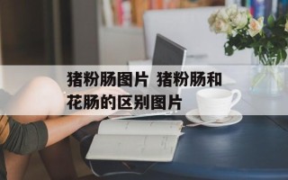猪粉肠图片 猪粉肠和花肠的区别图片