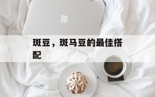 斑豆，斑马豆的最佳搭配
