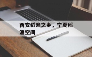 西安稻渔之乡，宁夏稻渔空间