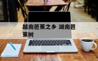 越南芭蕉之乡 湖南芭蕉树