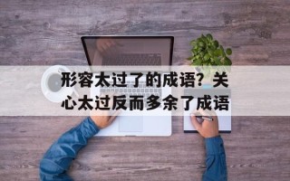 形容太过了的成语？关心太过反而多余了成语