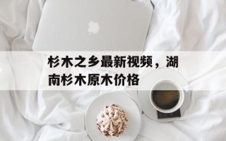 杉木之乡最新视频，湖南杉木原木价格