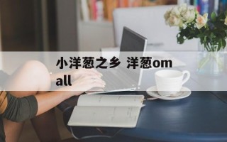 小洋葱之乡 洋葱omall