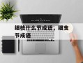 细枝什么节成语，细支节成语
